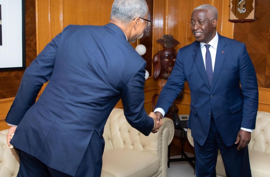 Le Premier Ministre Gabonais Reçoit le Nouveau Représentant Adjoint du PNUD